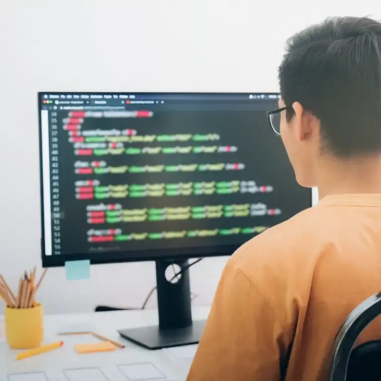 Custom Web Applications Development Services