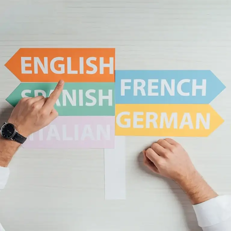 Expert Multi-Language Website Development Services