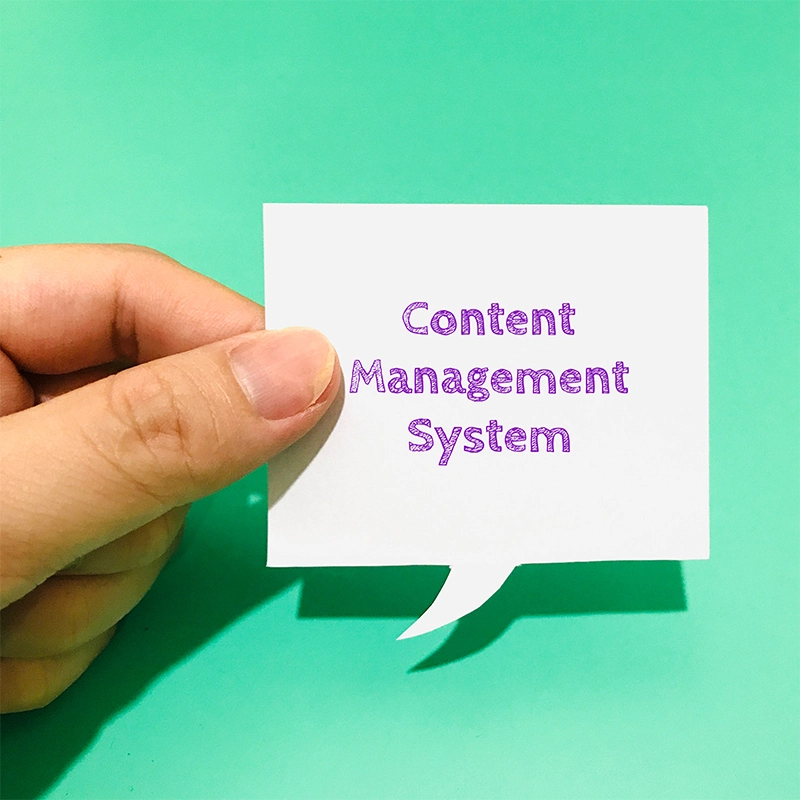 Content Management Systems (CMS)