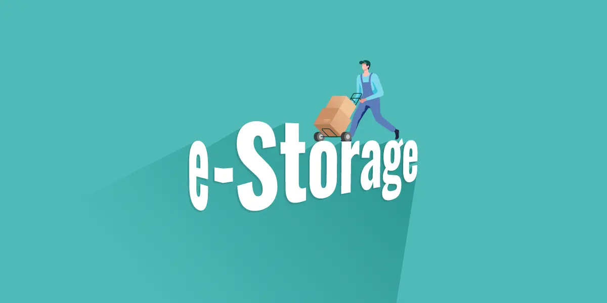 e‑Storage for Business – Delahaye Moving 