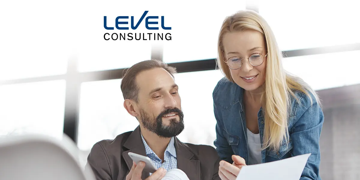 Level Consulting AG Website 