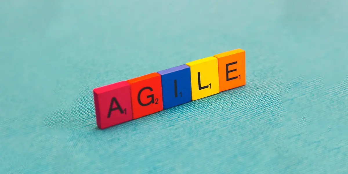 Agile Methodology in Software Development