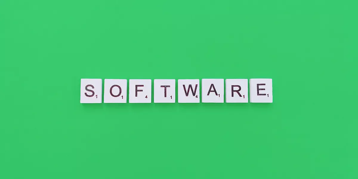 The Way to Success: Key Elements in Software Development